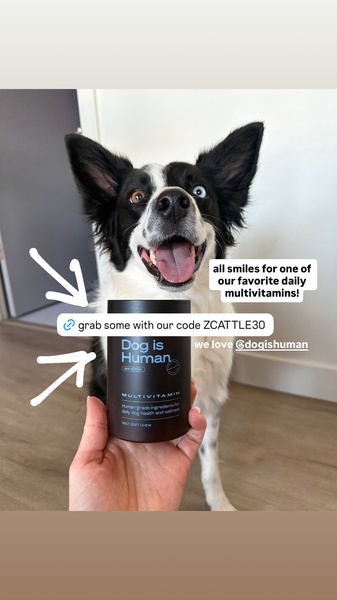 A high-performing social media ad featuring a happy dog alongside the product and a clear influencer-led discount code call-to-action.